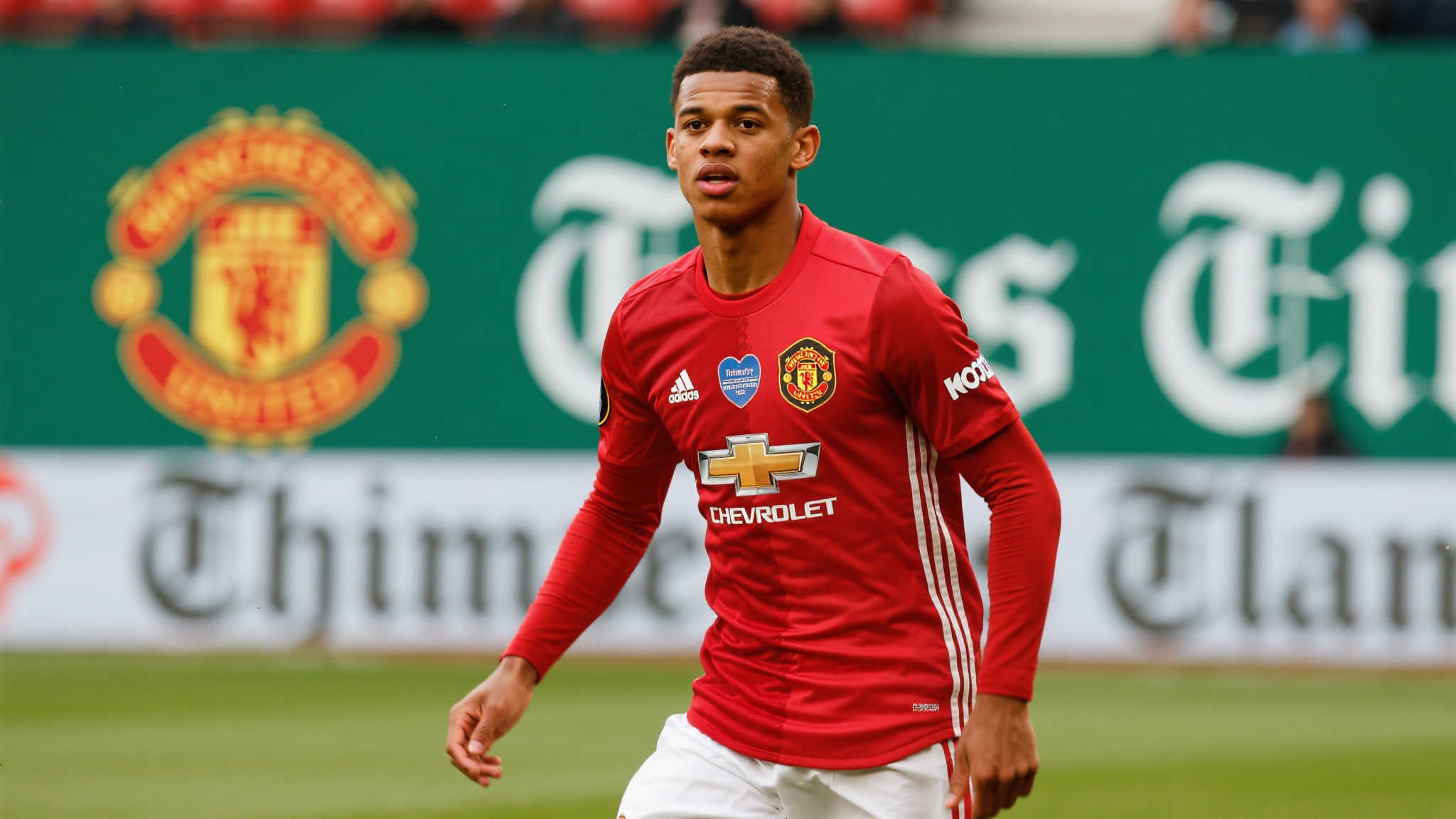 Leyu 乐鱼服务介绍